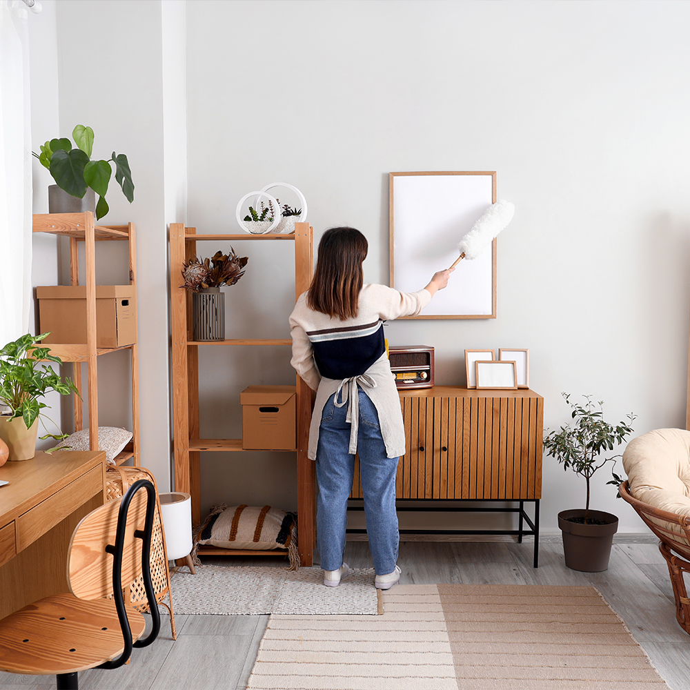 wohnung